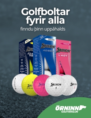 Örninn 2025 