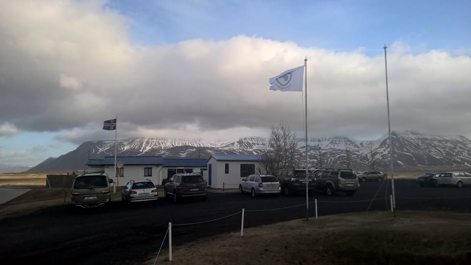 Fyrsta mót hins nýstofnaða golfsklúbbs