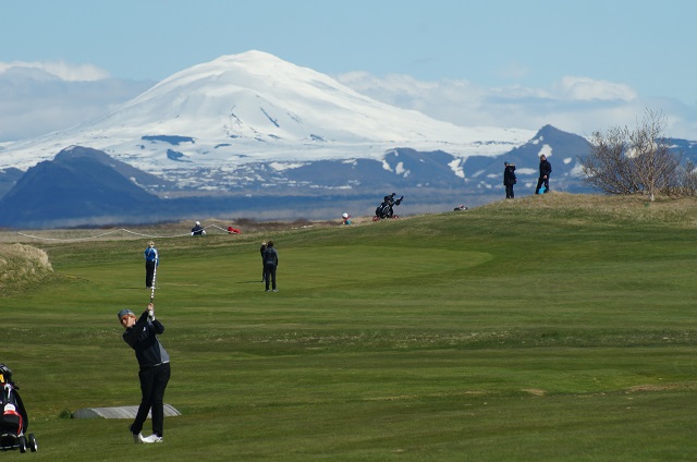Golfarinn í eldhúsinu