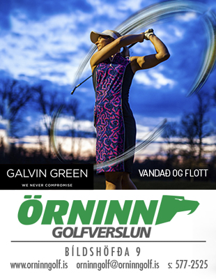 Örninn