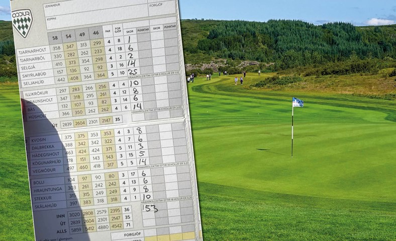 Margir óduglegir að laga bolta- og kylfuför 